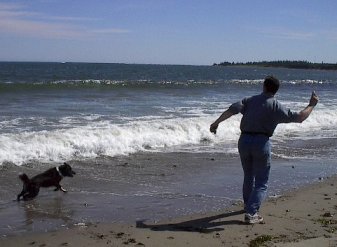 ���ƊC�ƃp�p