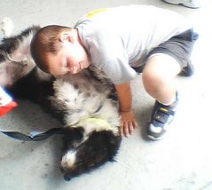 �q���ƗV��