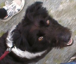 �ɂ�����TABI