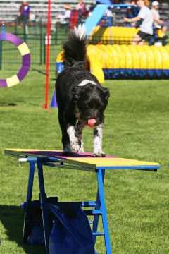 AAC�`�����s�I���V�b�v