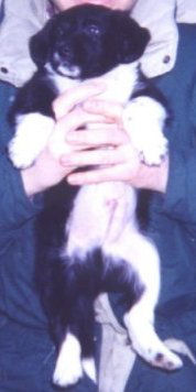 �Ԃ����TABI