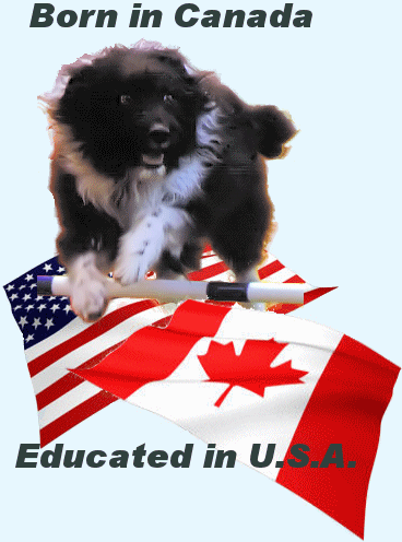 �A���q��TABI