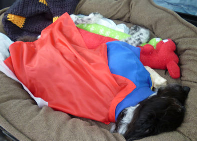 �Ō�̃h���C�u