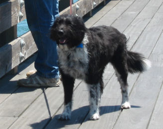 �T���t�����V�X�R