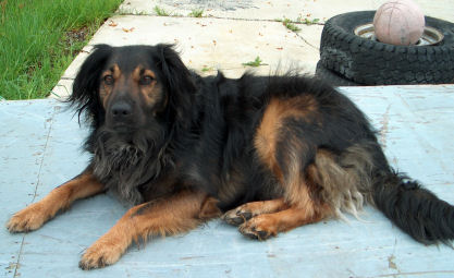 ���Z�����