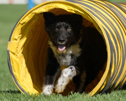 TABI�g���l��