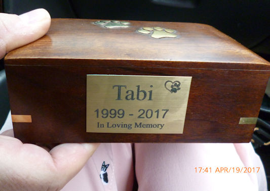 ��������ɋA�낤