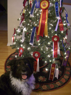 �c���[�ƃ��{��