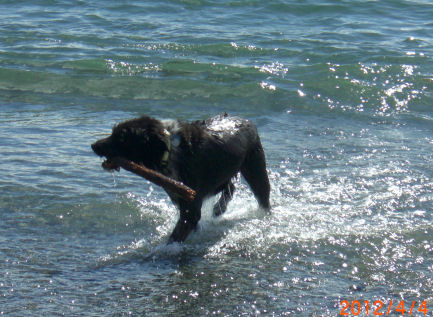 ���݂�����