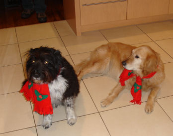 ���܂����