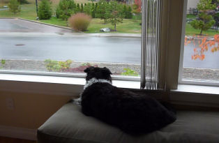 ���̂�����