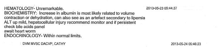 ���t����