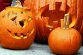 pumpkins.jpg (6551 bytes)
