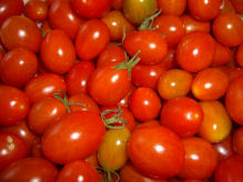 �~�j�g�}�g