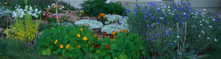 ���b�N�K�[�f��