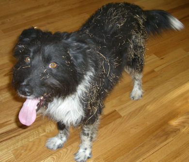 �������܁`