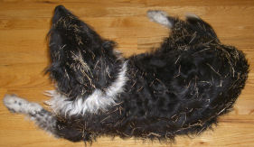 �I���Ȃ��͂�Ńo�g��