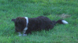 �q�������s�`�a�h