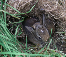 �����Ԃ���񂶂�Ȃ���I