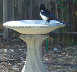 �A�����J�J�T�T�M