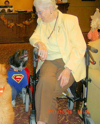 セラピードッグ