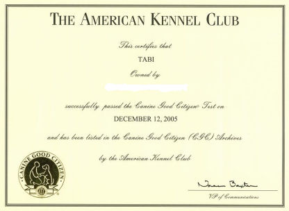 CGC���i�؏�