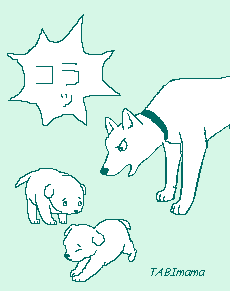 �}�}���Ǝq��