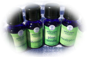 �G�b�Z���V�����I�C��